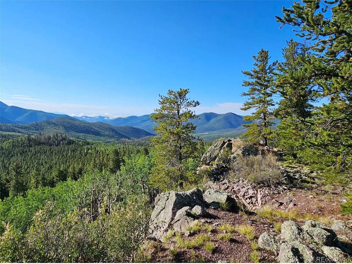 Villa Grove, CO 81155,8 Farrington