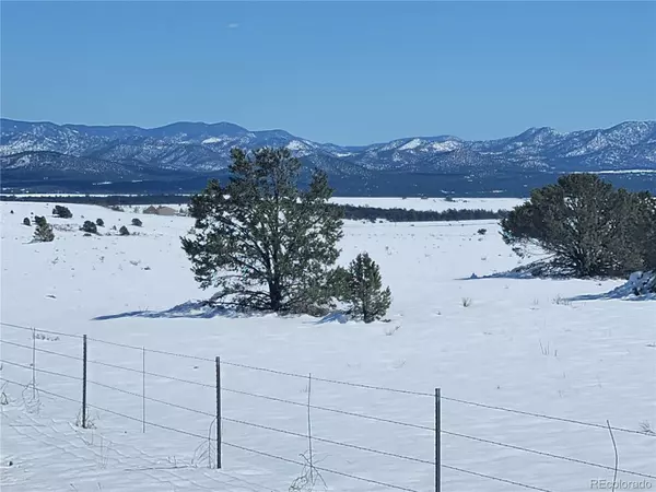 Cotopaxi, CO 81223,0 County Road 29