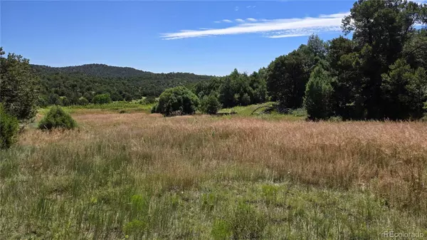 Trinidad, CO 81082,15 Picketwire Ranch Filing #4