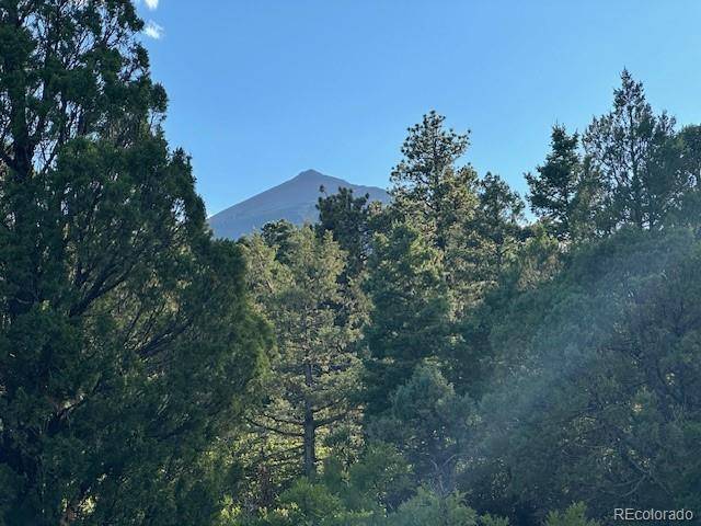 Howard, CO 81233,1 Forest LN