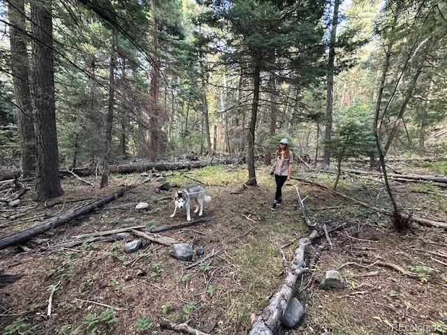 Howard, CO 81233,1 Forest LN