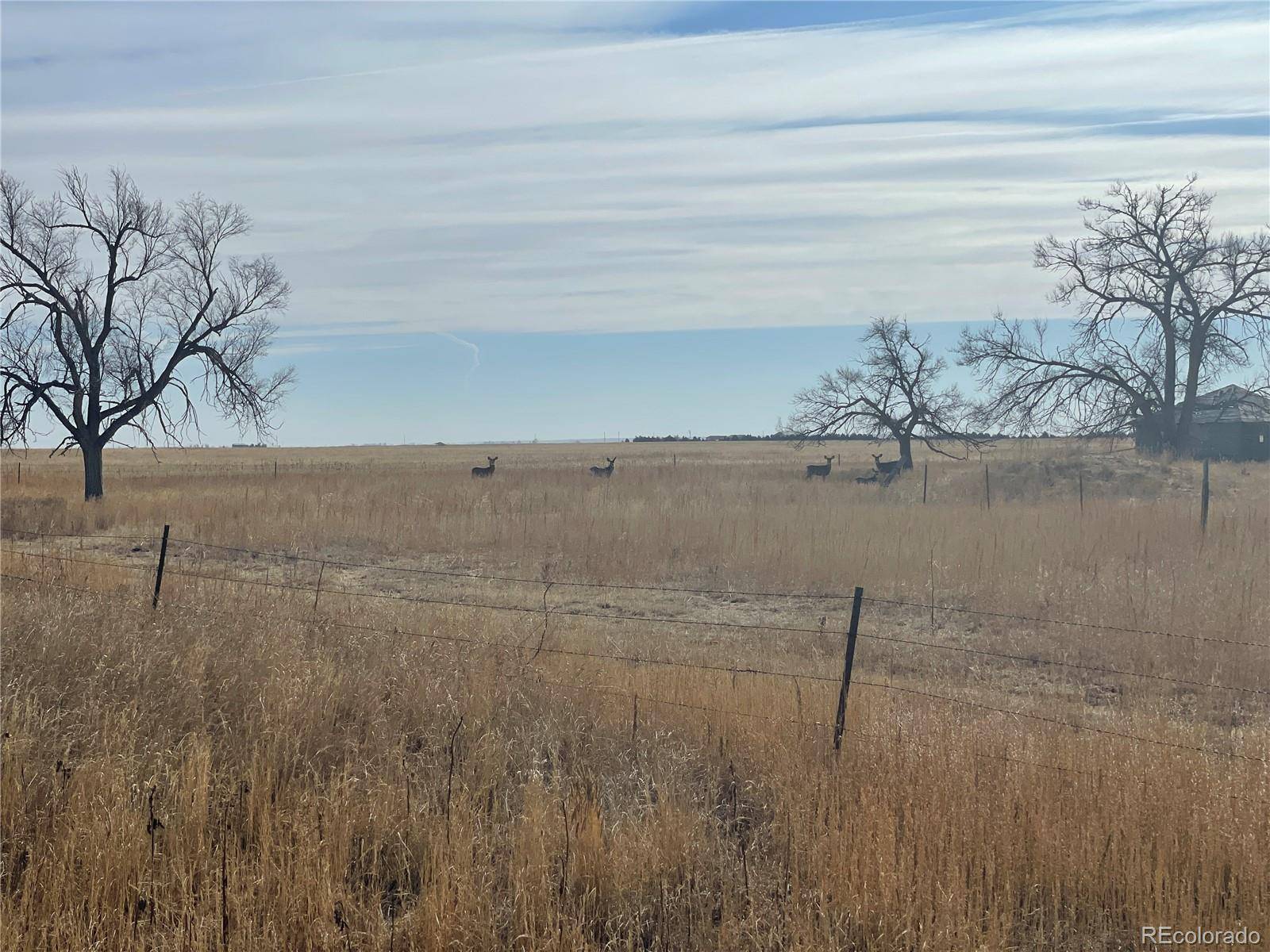Ramah, CO 80832,00001 County Road 149