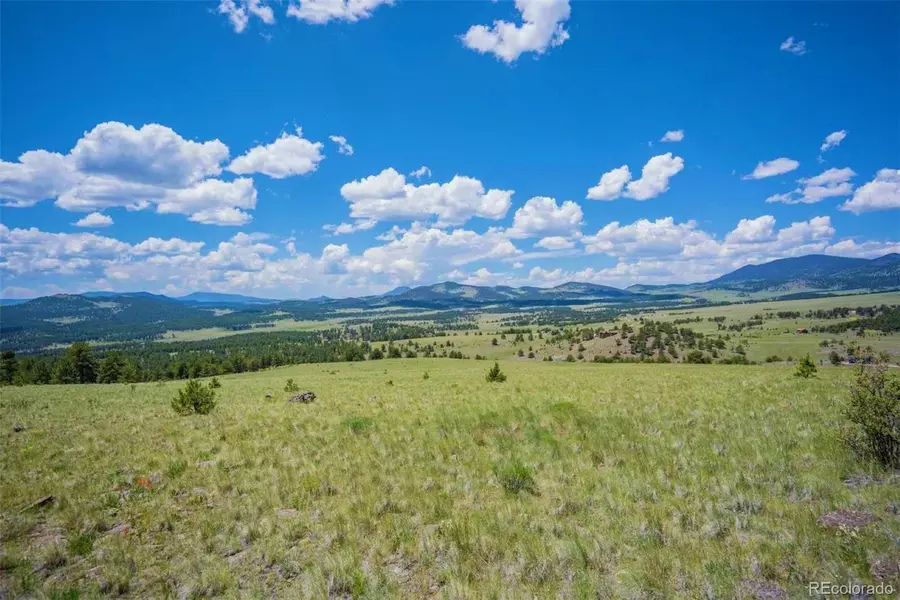 1746 Castle Mountain Pass, Guffey, CO 80820