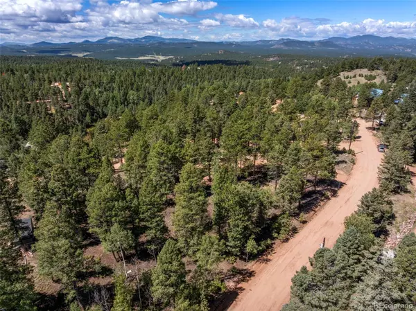 Florissant, CO 80816,210 Donzi TRL