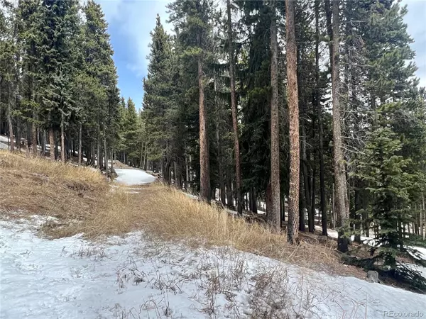 Idaho Springs, CO 80452,131 Sawmill LN