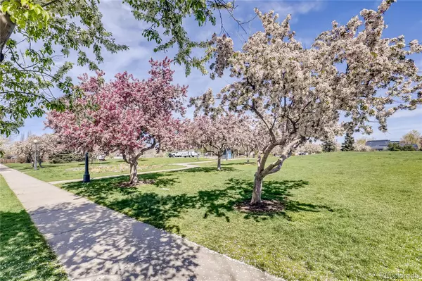 Denver, CO 80220,1038 Jasmine ST