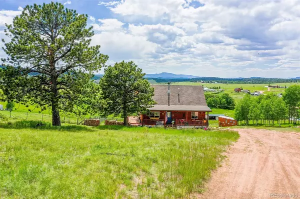 Divide, CO 80814,42 Ridge CIR