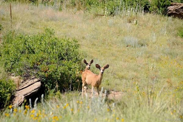 Deer Trail, CO 80105,Parcel B Amethyst RD