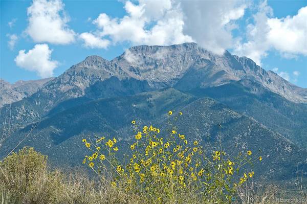 863 Spring Beauty TRL, Crestone, CO 81131