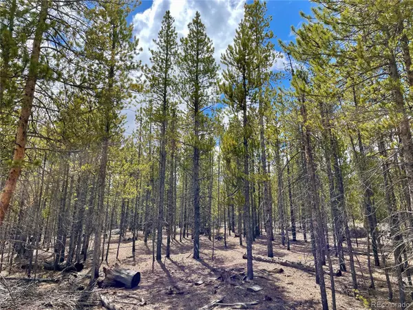 Twin Lakes, CO 81251,160 Hemlock DR