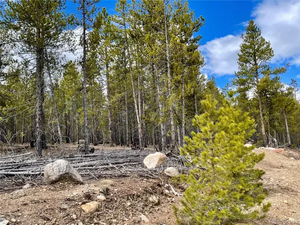 Twin Lakes, CO 81251,160 Hemlock DR