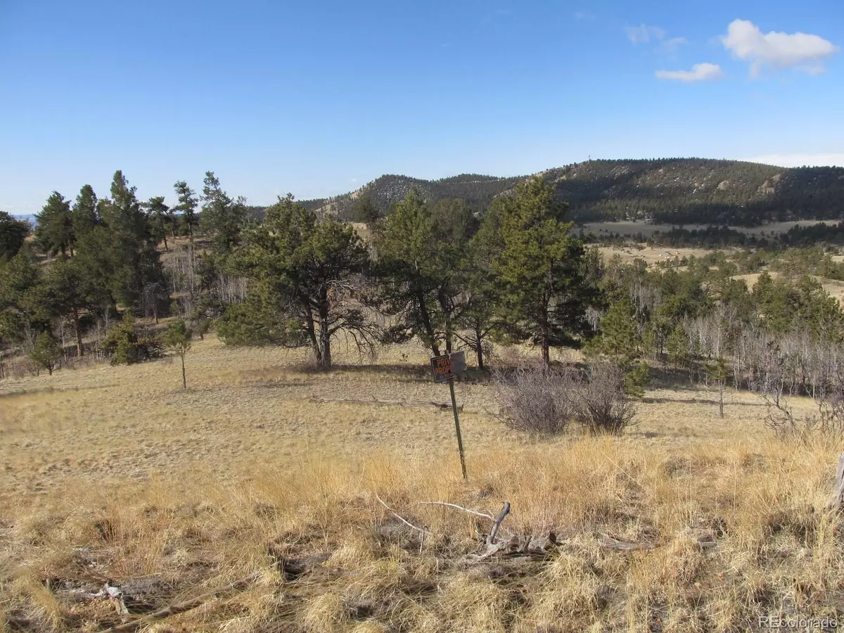 Hartsel, CO 80449,672 Pine LN