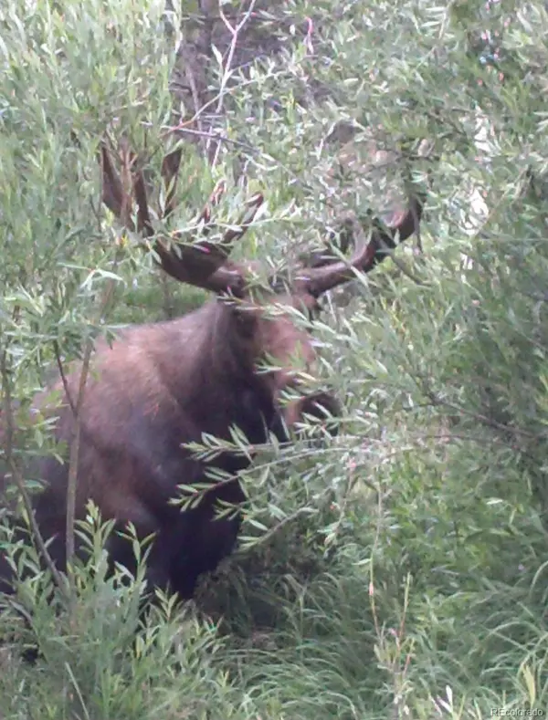 Grand Lake, CO 80447,527 GCR 494