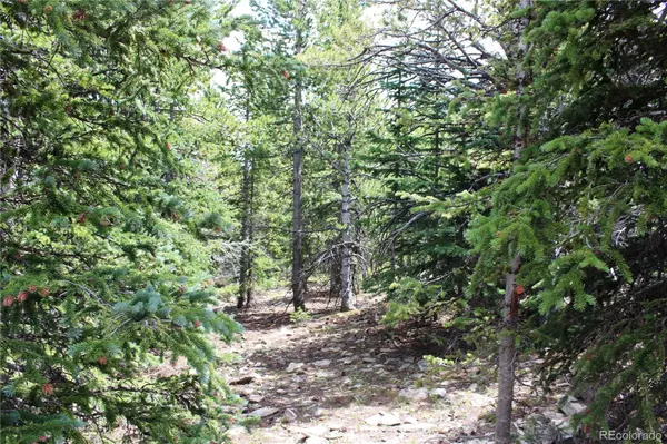 5285 Lucy Agnes, Black Hawk, CO 80422