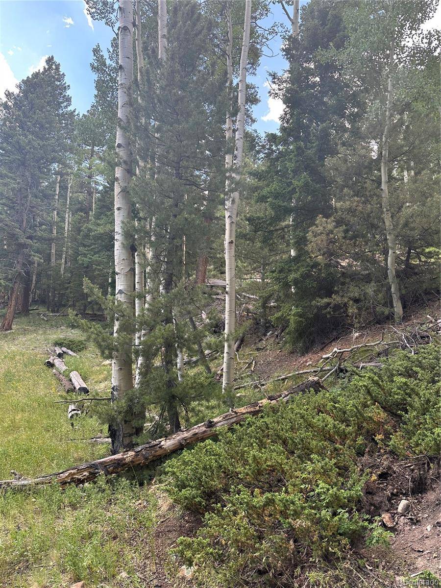 Jasper, CO 81132,Calkins ST