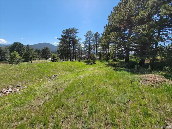 Evergreen, CO 80439,31720 Rocky Village DR