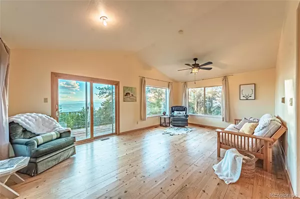 Florissant, CO 80816,616 Moffat DR