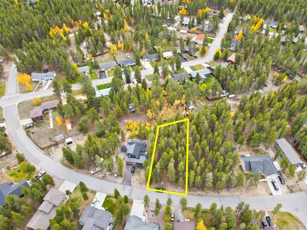 1833 Gold DR, Leadville, CO 80461