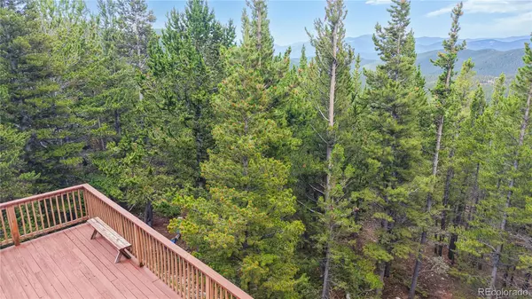 Idaho Springs, CO 80452,274 Lincoln DR