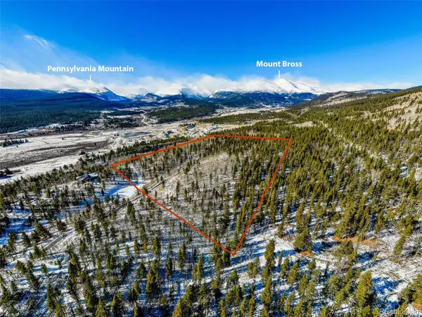 Alma, CO 80420,96 Dead Toad RD