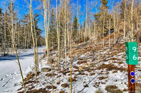 Alma, CO 80420,96 Dead Toad RD