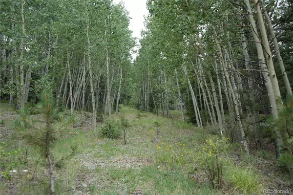 Cripple Creek, CO 80813,1406 Monarch DR
