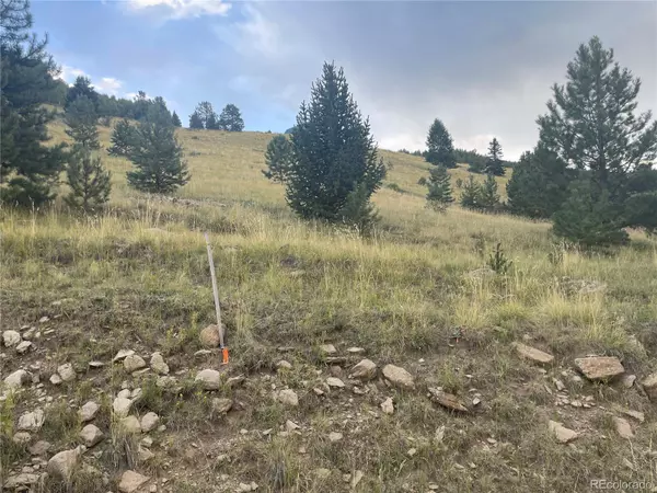 Cripple Creek, CO 80813,878 Anges DR