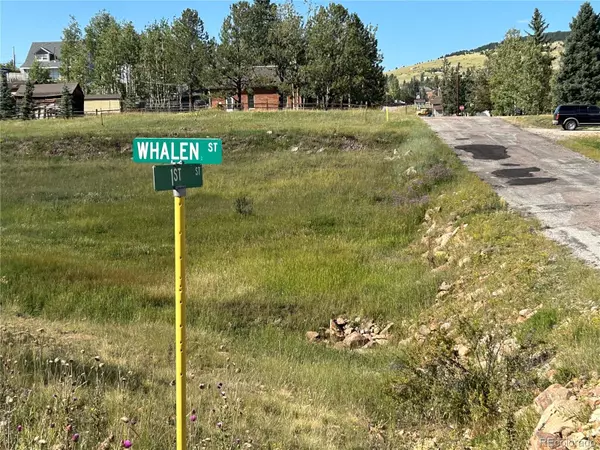 Cripple Creek, CO 80813,S 1st ST