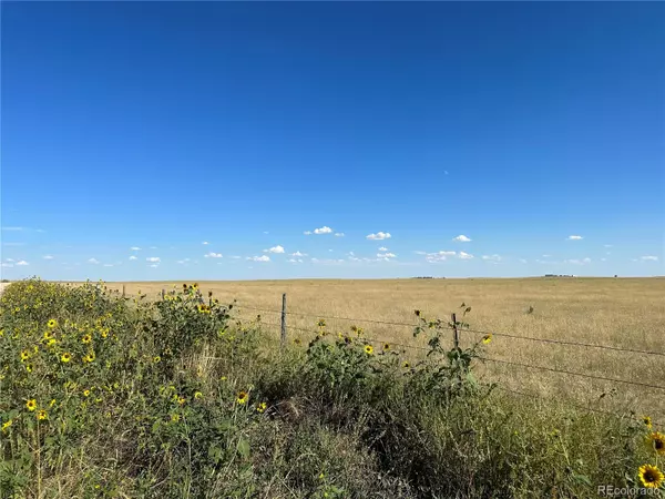Bowen RD, Rush, CO 80833
