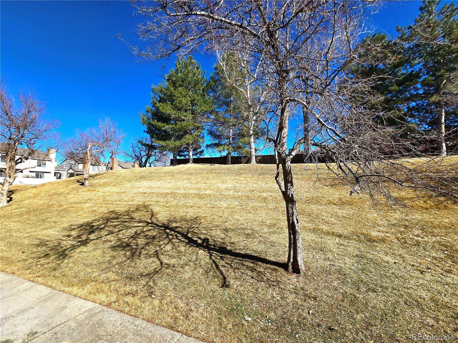 Highlands Ranch, CO 80126,886 Summer DR