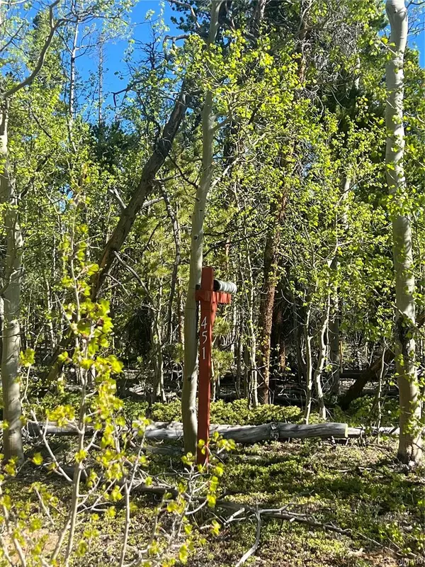 Fairplay, CO 80440,451 Lamb Mountain RD