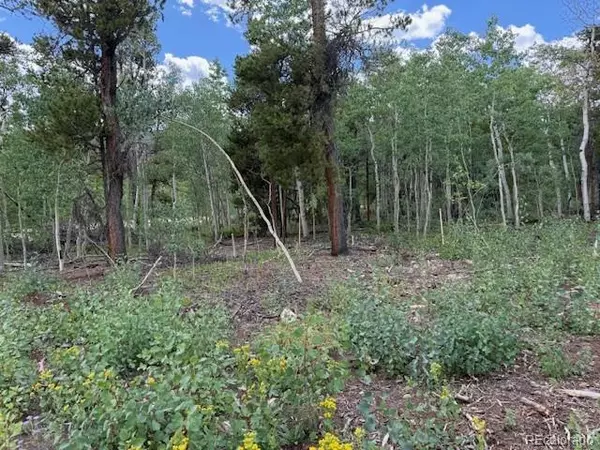 Fairplay, CO 80440,451 Lamb Mountain RD