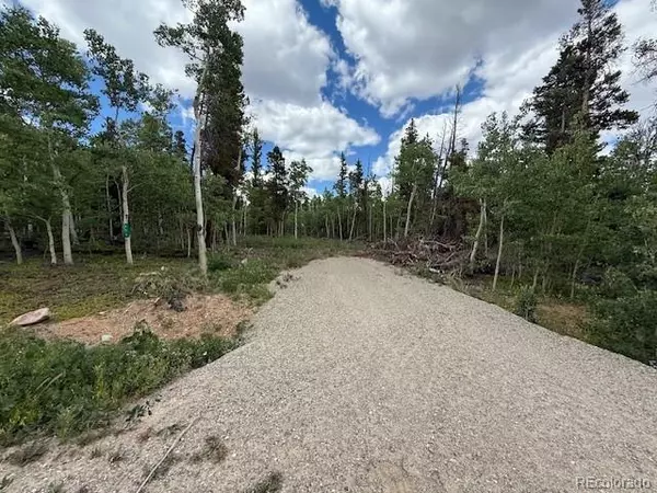 451 Lamb Mountain RD, Fairplay, CO 80440