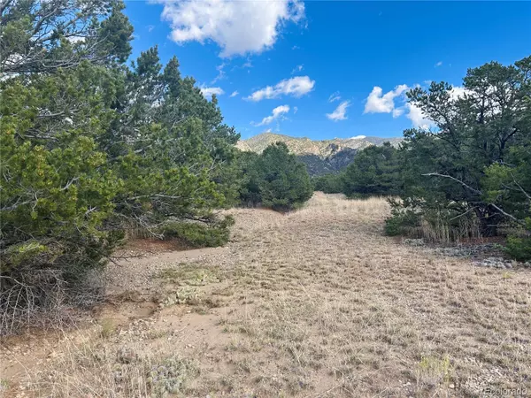 Mosca, CO 81146,112 Eagles Nest DR