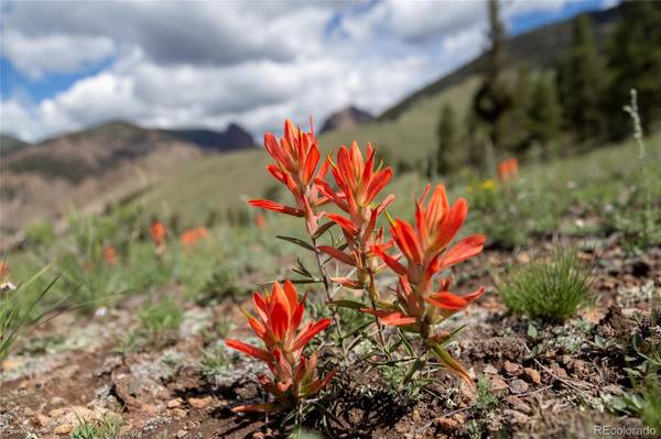 Creede, CO 81130,780 Cliff View DR