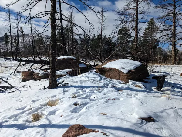 581 Leslie LOOP, Fort Garland, CO 81133