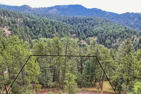 Indian Hills, CO 80454,5296 Cherokee RD