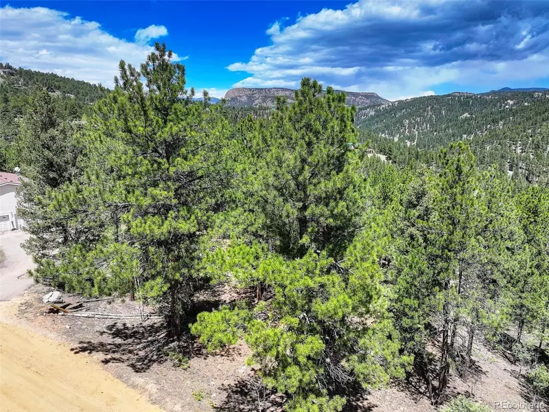 456 Lo Meadow LN, Bailey, CO 80421