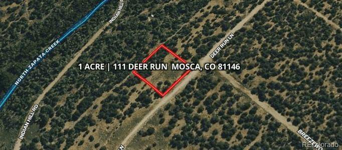 111 Deer RUN, Mosca, CO 81146