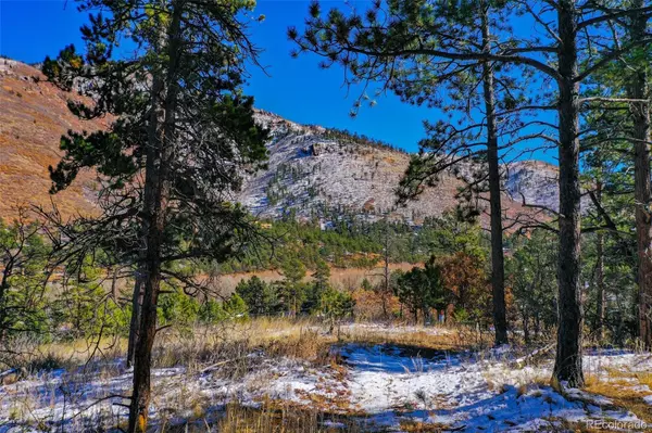 Cascade, CO 80809,5330 Chipita Pines DR