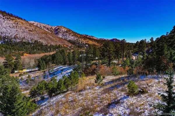 Cascade, CO 80809,5330 Chipita Pines DR