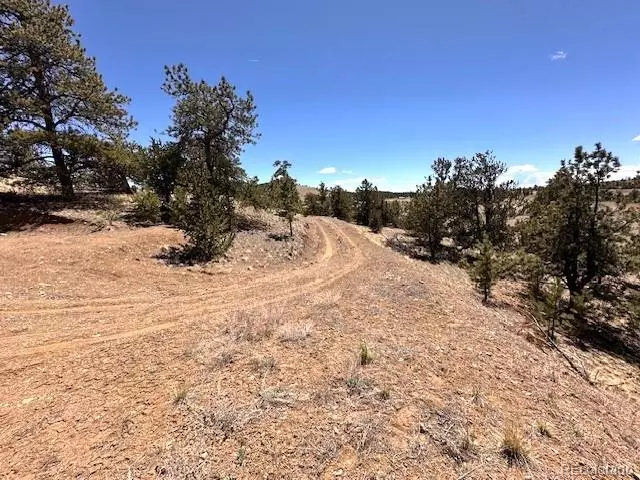 Hartsel, CO 80449,2972 Fitzsimmons