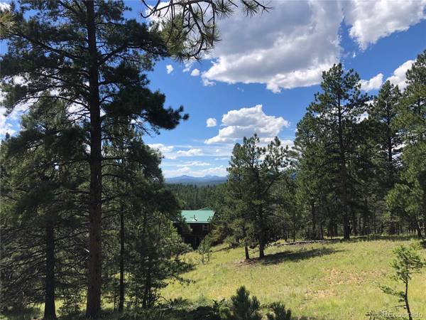 26 N Eldorado CIR, Florissant, CO 80816