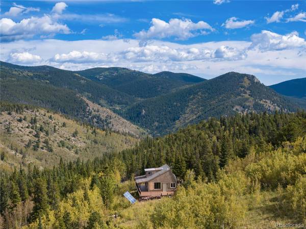 Idaho Springs, CO 80452,214 Fireweed LN