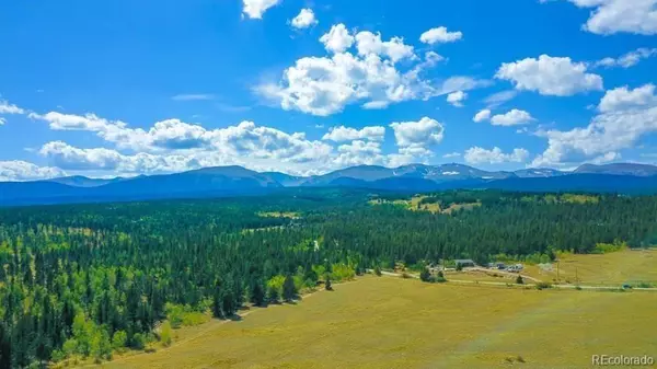Fairplay, CO 80440,000 Platte DR