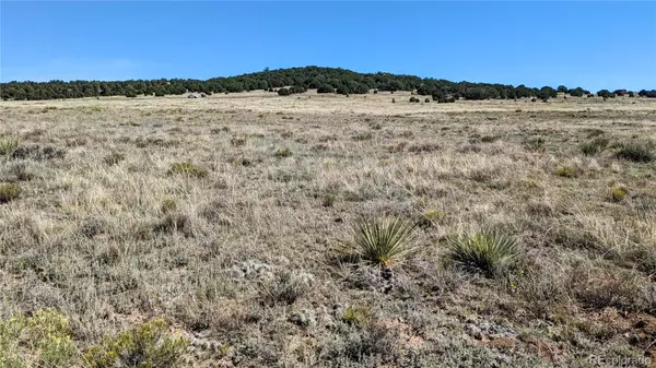 Westcliffe, CO 81252,1745 Commanche RD