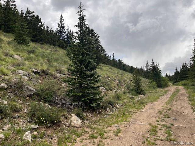 Fort Garland, CO 81133,6650 Forbes RD