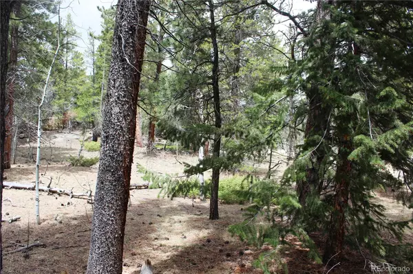 Black Hawk, CO 80422,Lot 10 Pinon CIR