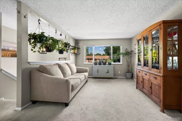 Frederick, CO 80530,205 Walnut ST