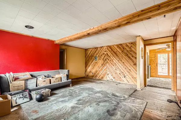 Idaho Springs, CO 80452,1645 Little Bear Creek RD
